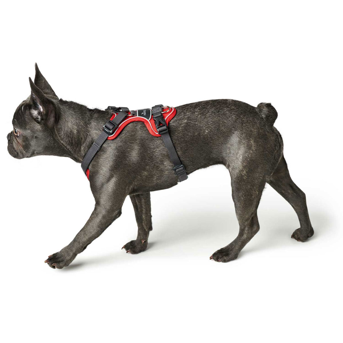 Hundegeschirr „Divo“, rot-grau, Gr. L-XL