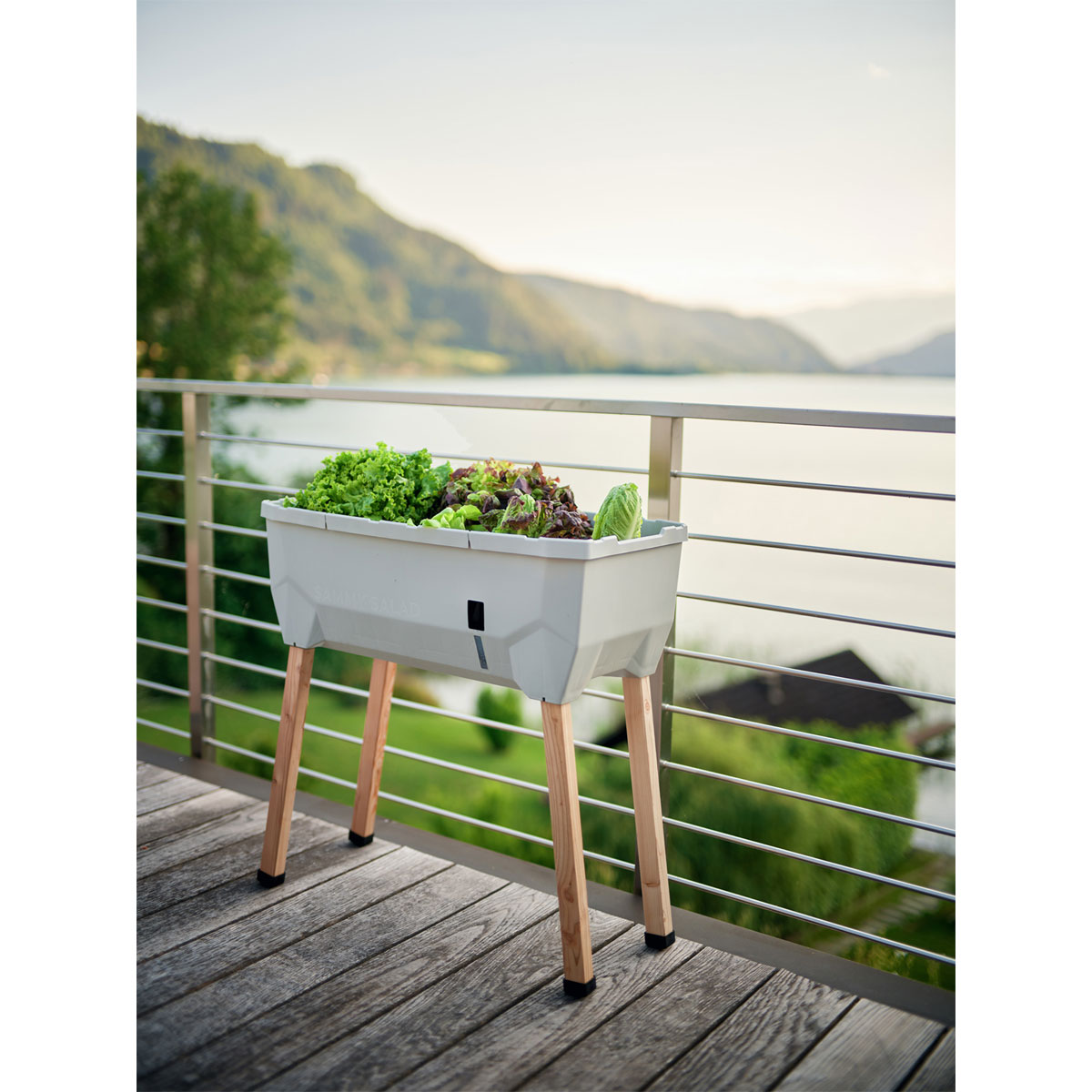 Hochbeet Sammy Salad mit Deckel hellgrau Bild 6