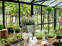 Pflanzen stehen in Töpfen und Behältern in einem sonnendurchfluteten Gewächshaus mit Glaswänden.