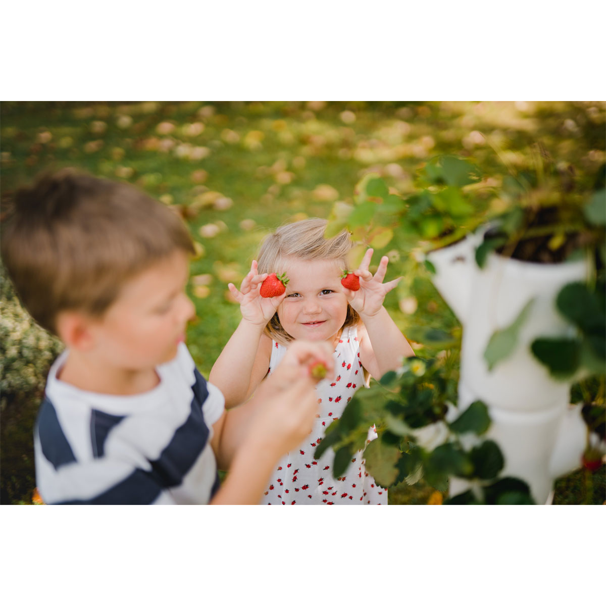 Erdbeerturm Sissi Strawberry Classic weiß Bild 2