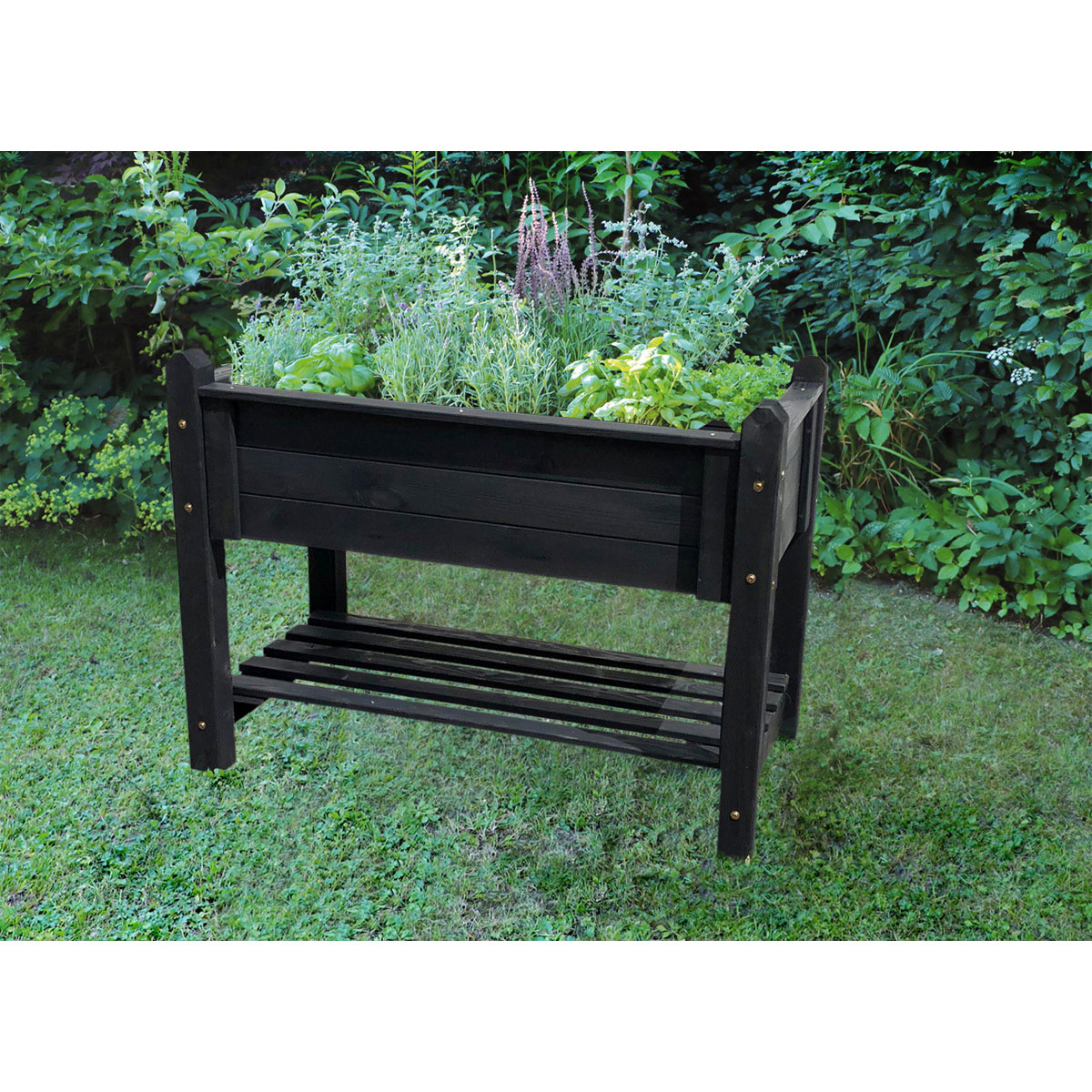 Promadino Kräuterbeet massiv groß