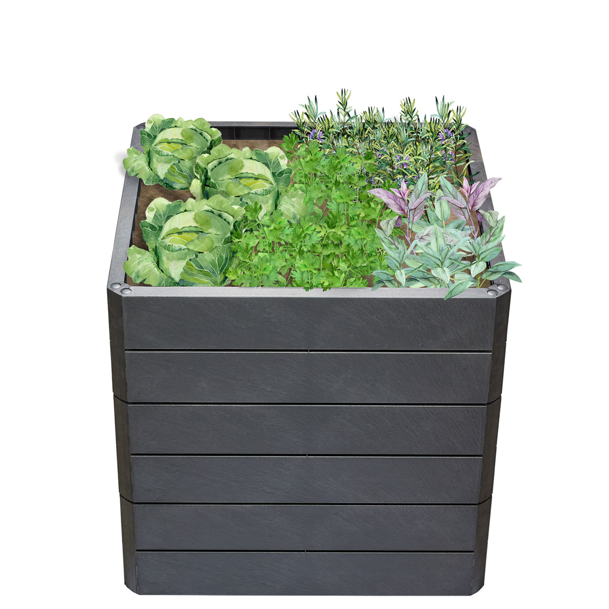 Garantia Hochbeet ERGO QUADRO L 75 Stone inkl FLORA