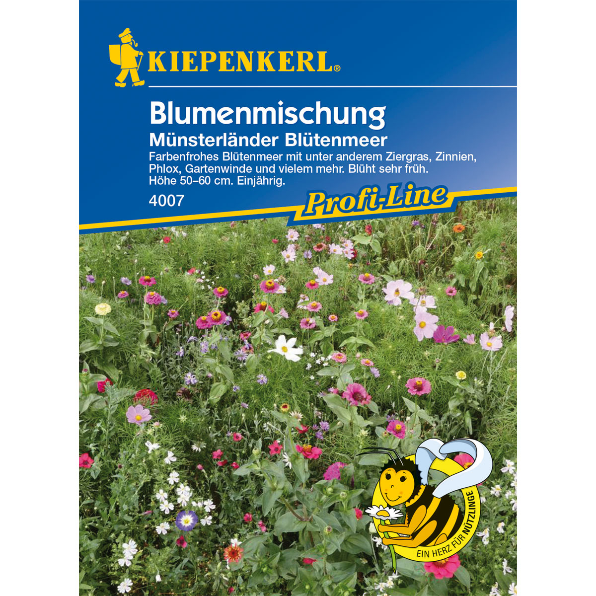 Blumenmischung „Münsterländer Blütenmeer“