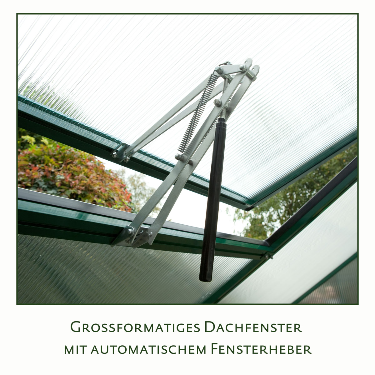 KGT Gewächshaus Rose II 5m² silber Bild 5