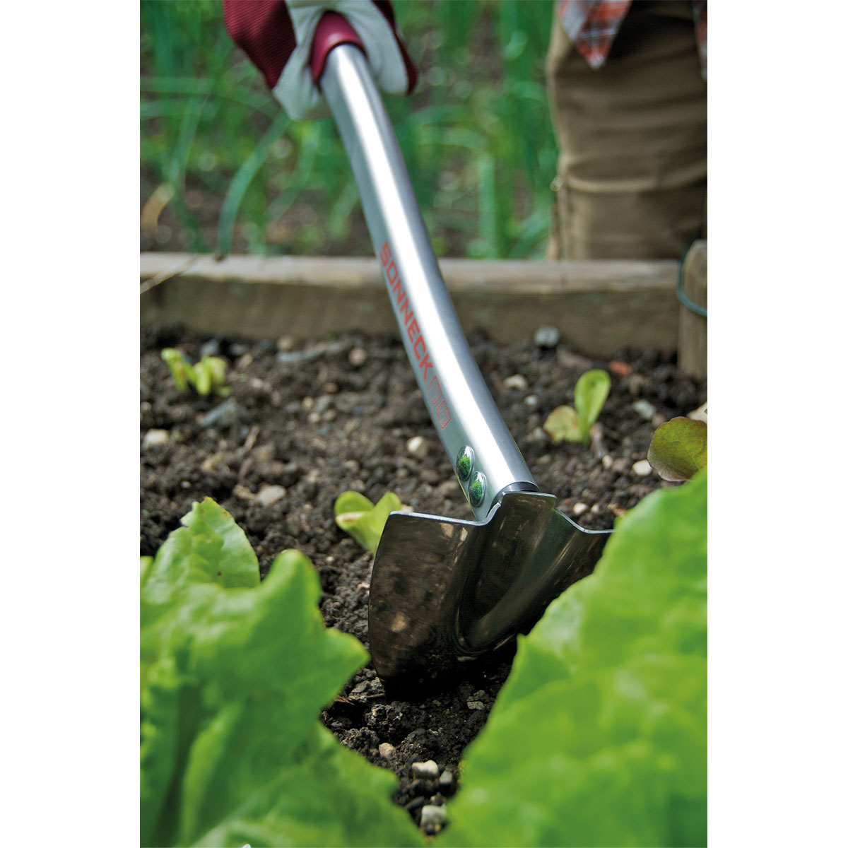 Sonneck Hochbeethaue Premium Bild 6