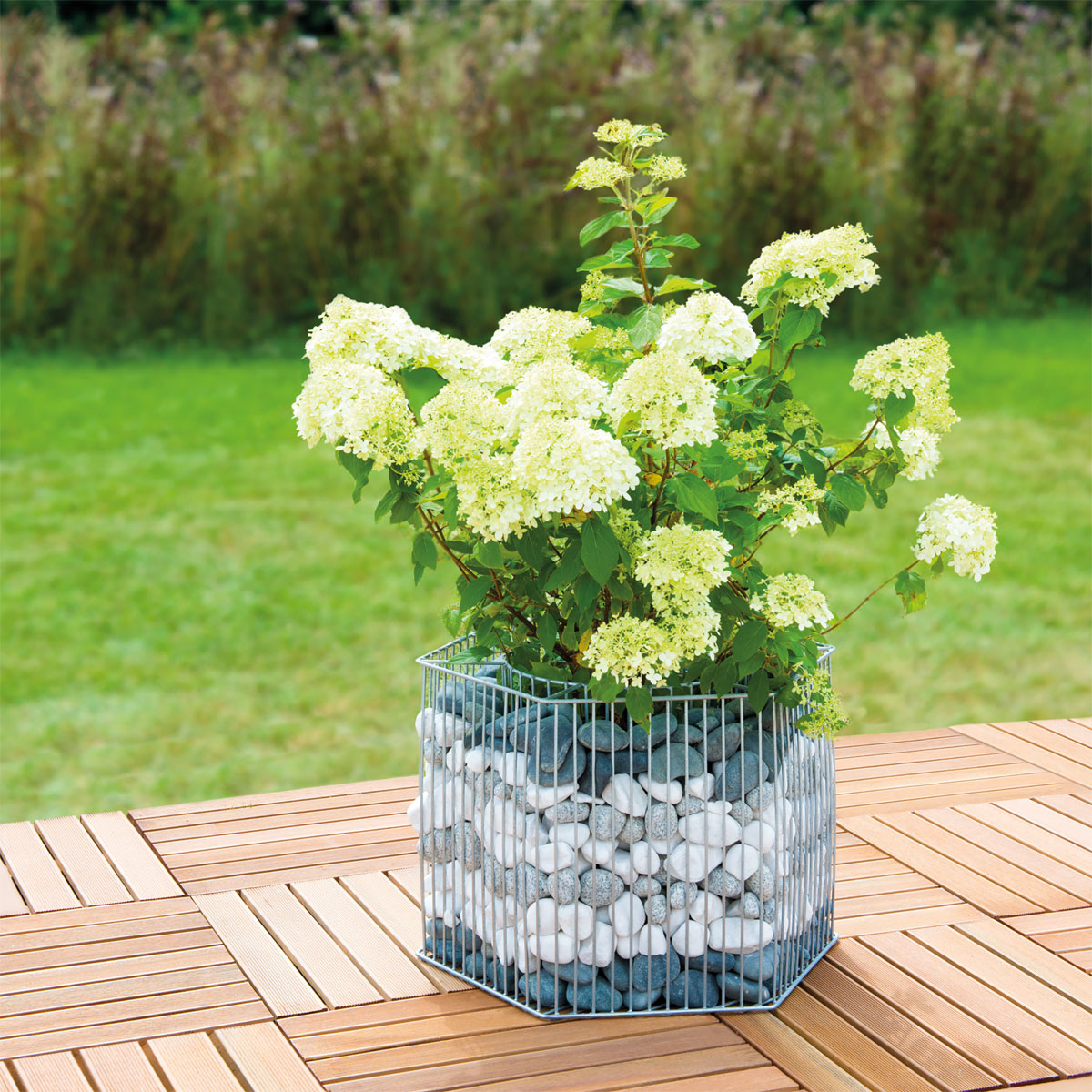 Wilk Gabionen-Pflanzgefäß Montana M Bild 2