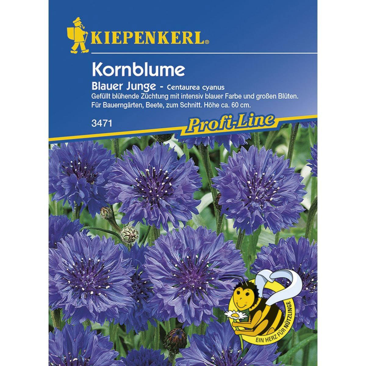 Kiepenkerl Kornblume Blauer Junge Profi-Line Bild 1