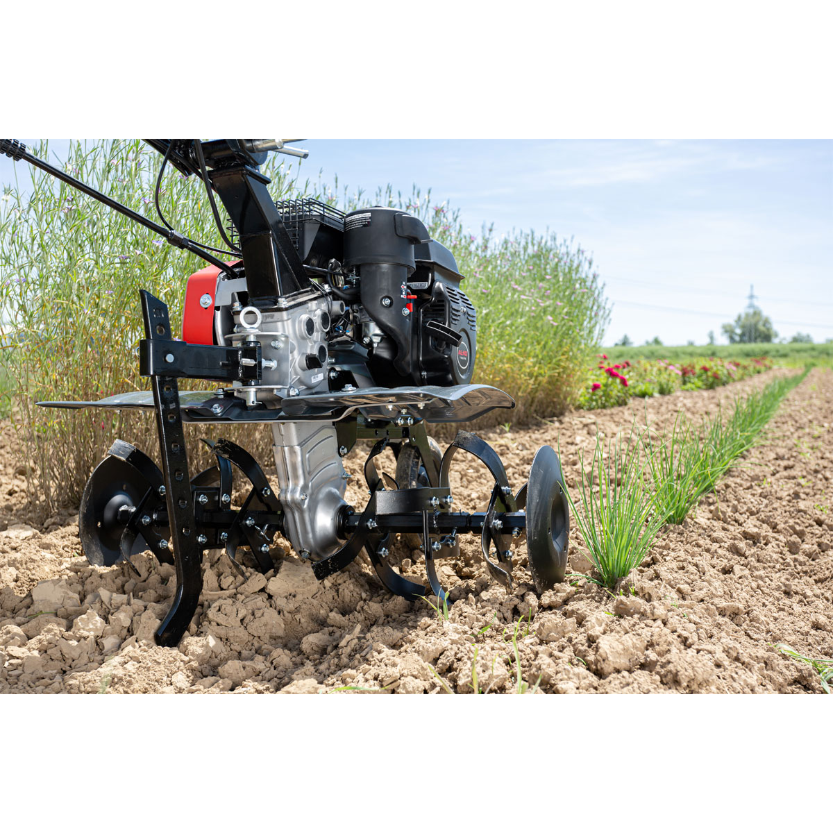 AL-KO  Benzin-Motorhacke MH 770 Comfort Bild 3