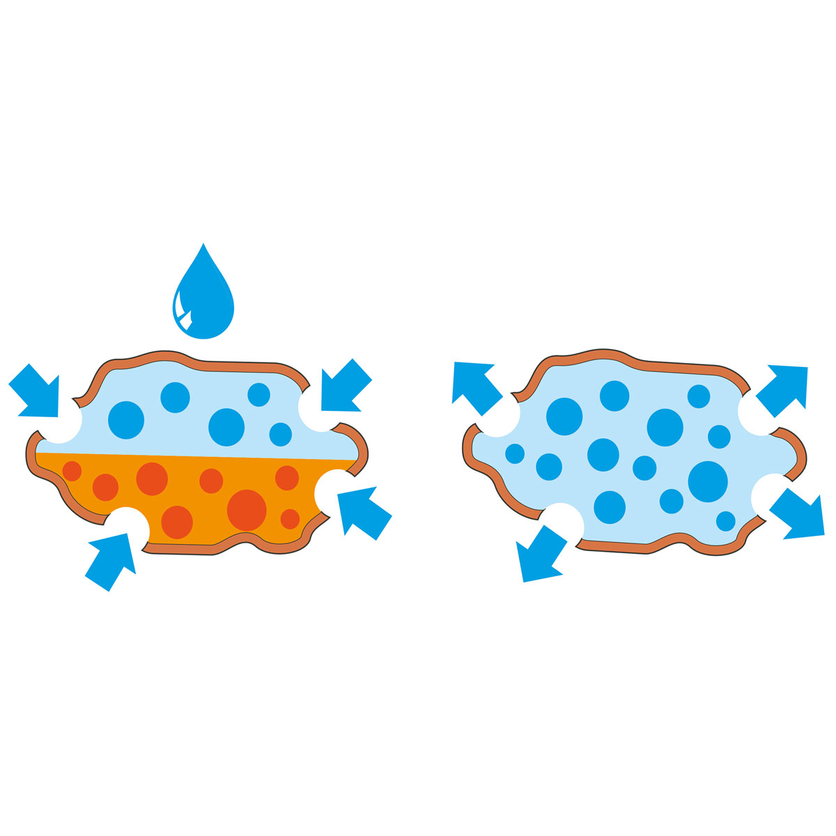 Seramis Spezial-Substrat für Kakteen/ Sukkulenten 7 L Bild 3