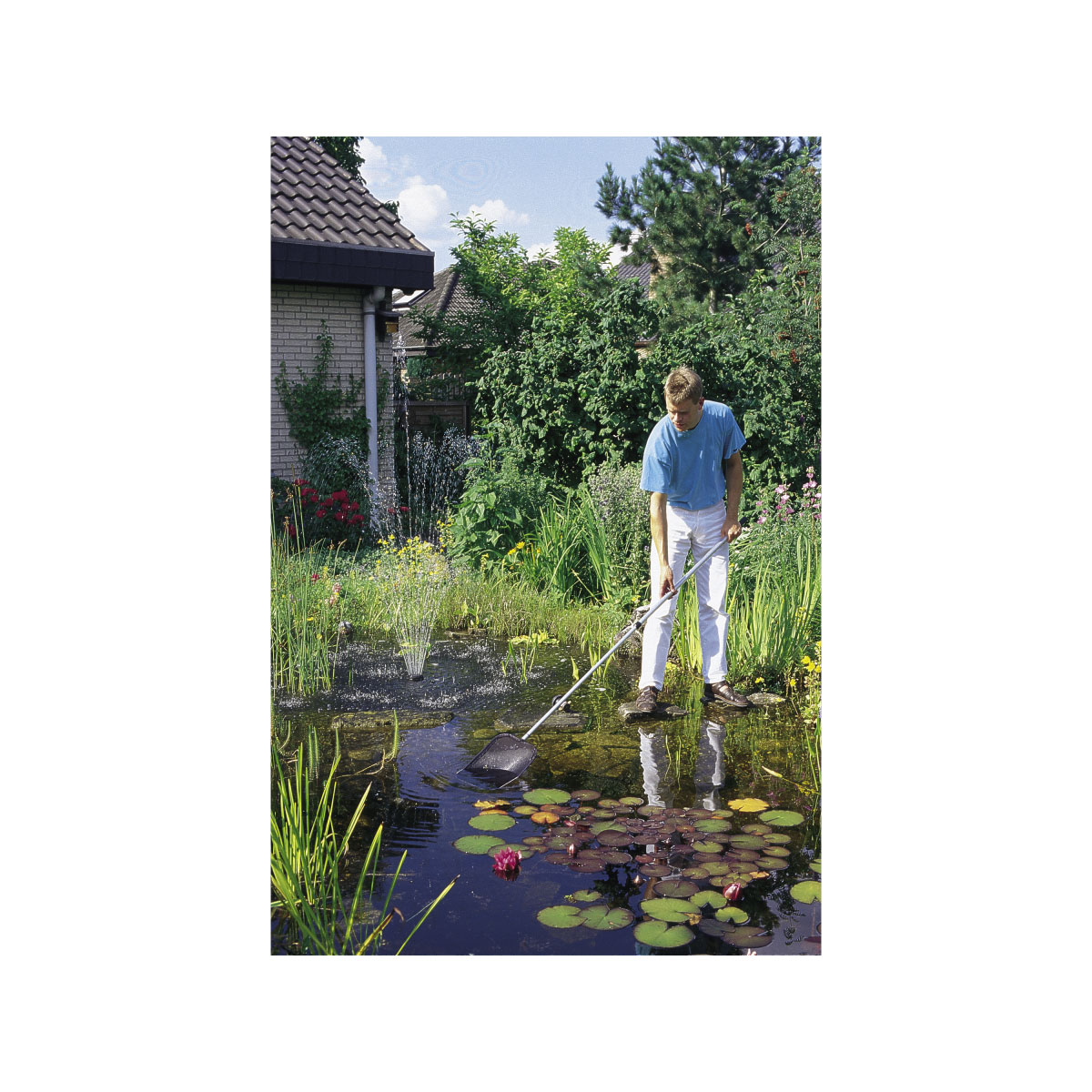 Oase Algenkescher Bild 2