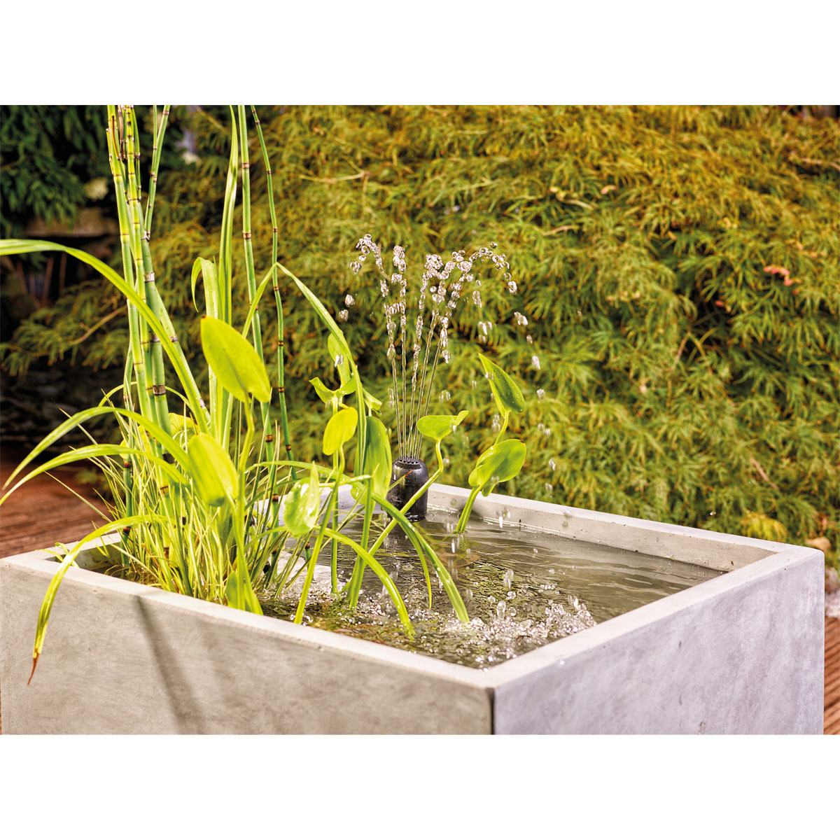 Oase Unterwasserfilter Filtral UVC 1500 Bild 4