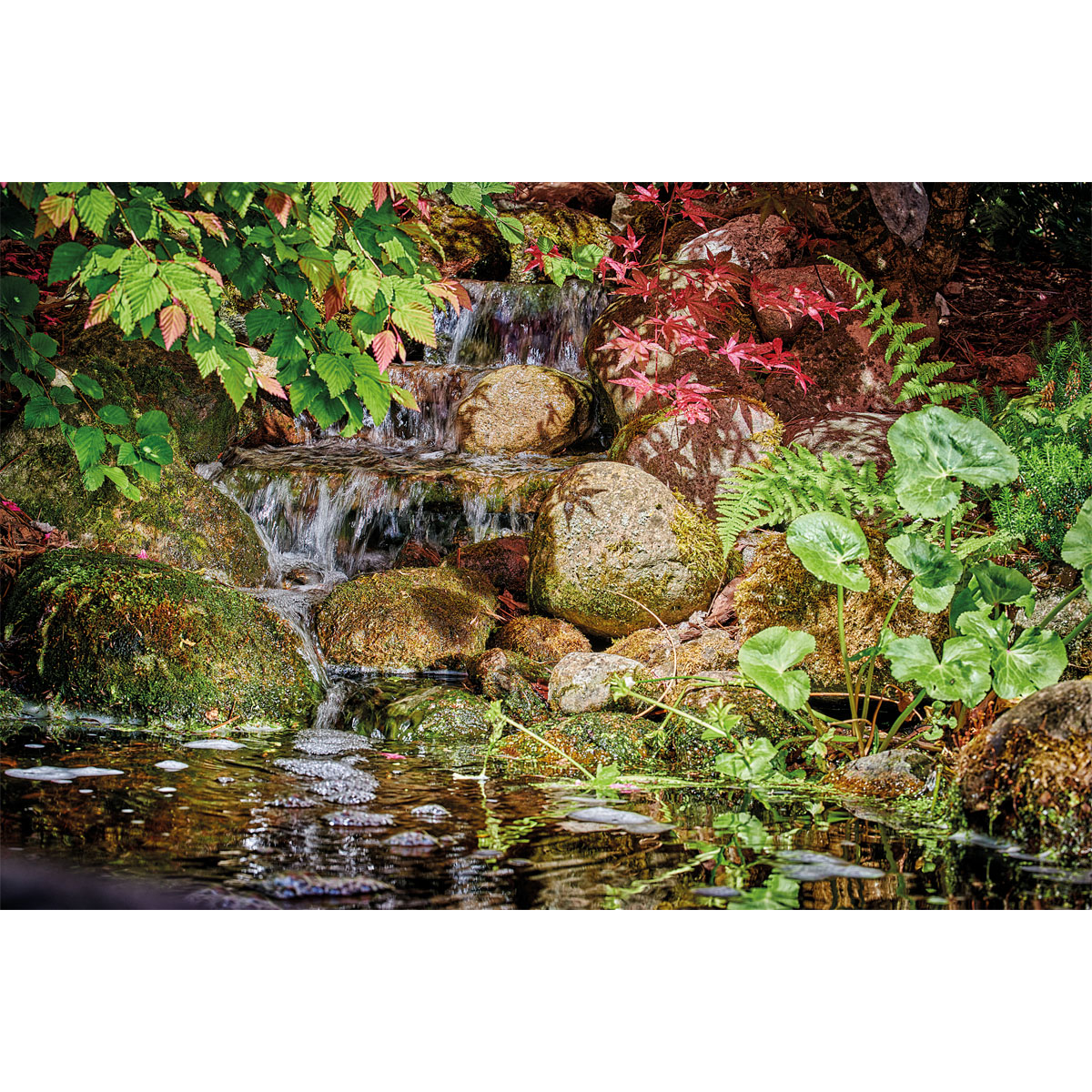 Oase Pontec PondoMax Eco 8500 C Bild 2