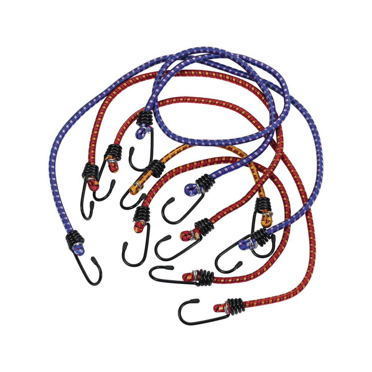 Basic Spanngurt-Set 12-teilig