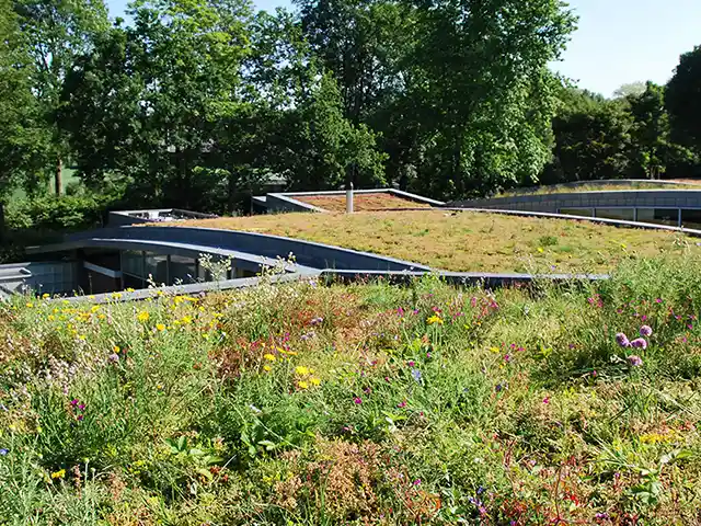 Ein begrüntes Dach beherbergt blühende Pflanzen, umgeben von vielen Bäumen.