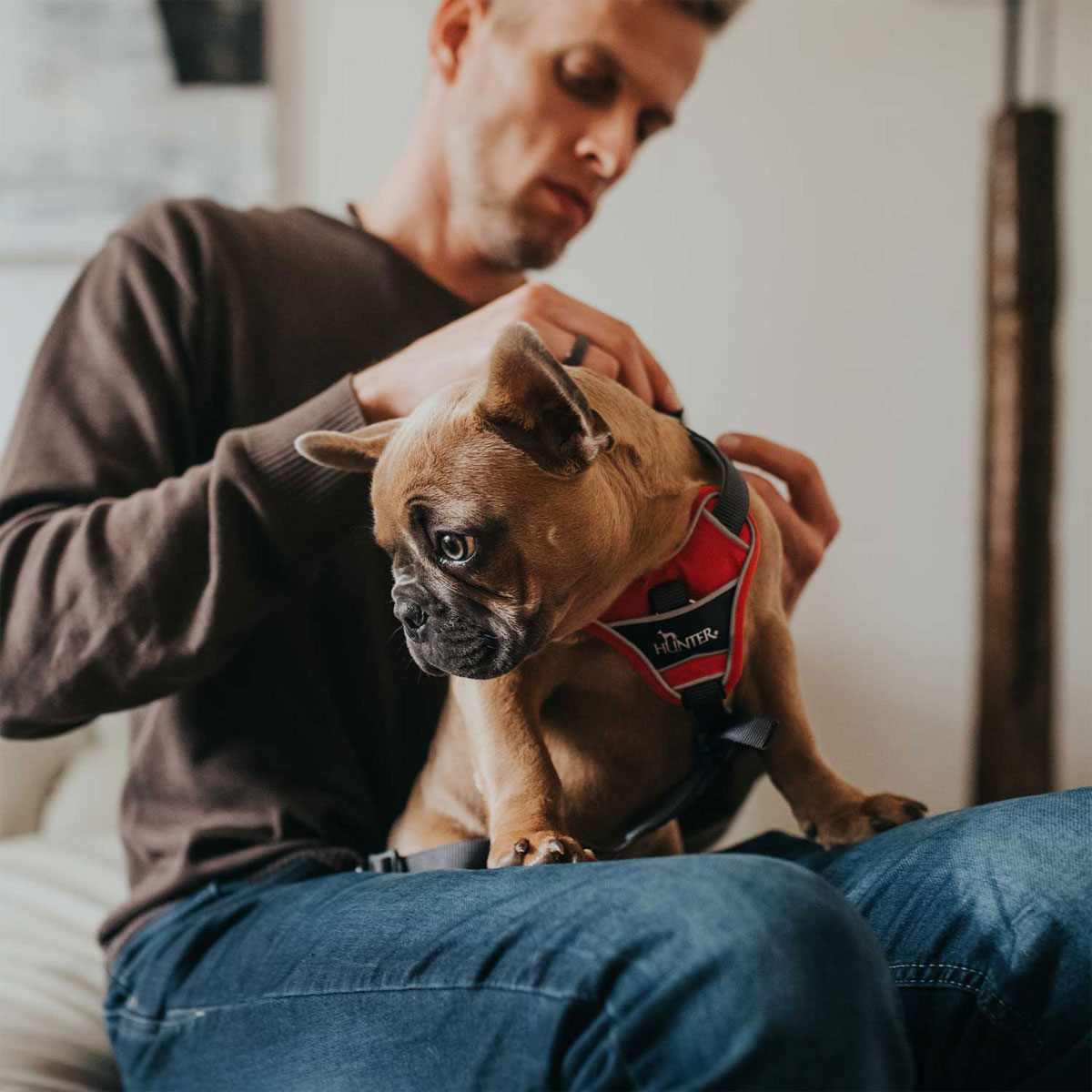 Hunter Hundegeschirr Divo rot-grau Größe L-XL Bild 3
