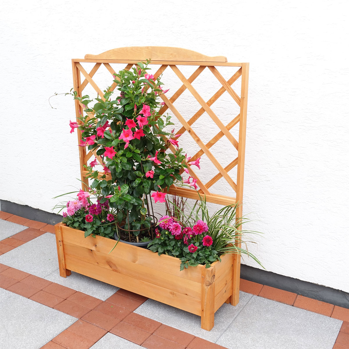 Promadino Rankkasten Botanica 110 x 140 cm Bild 3