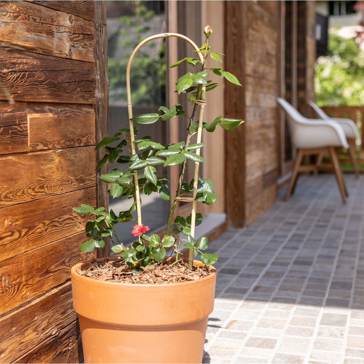 Windhager  Bambus-Rankbogen 90 cm