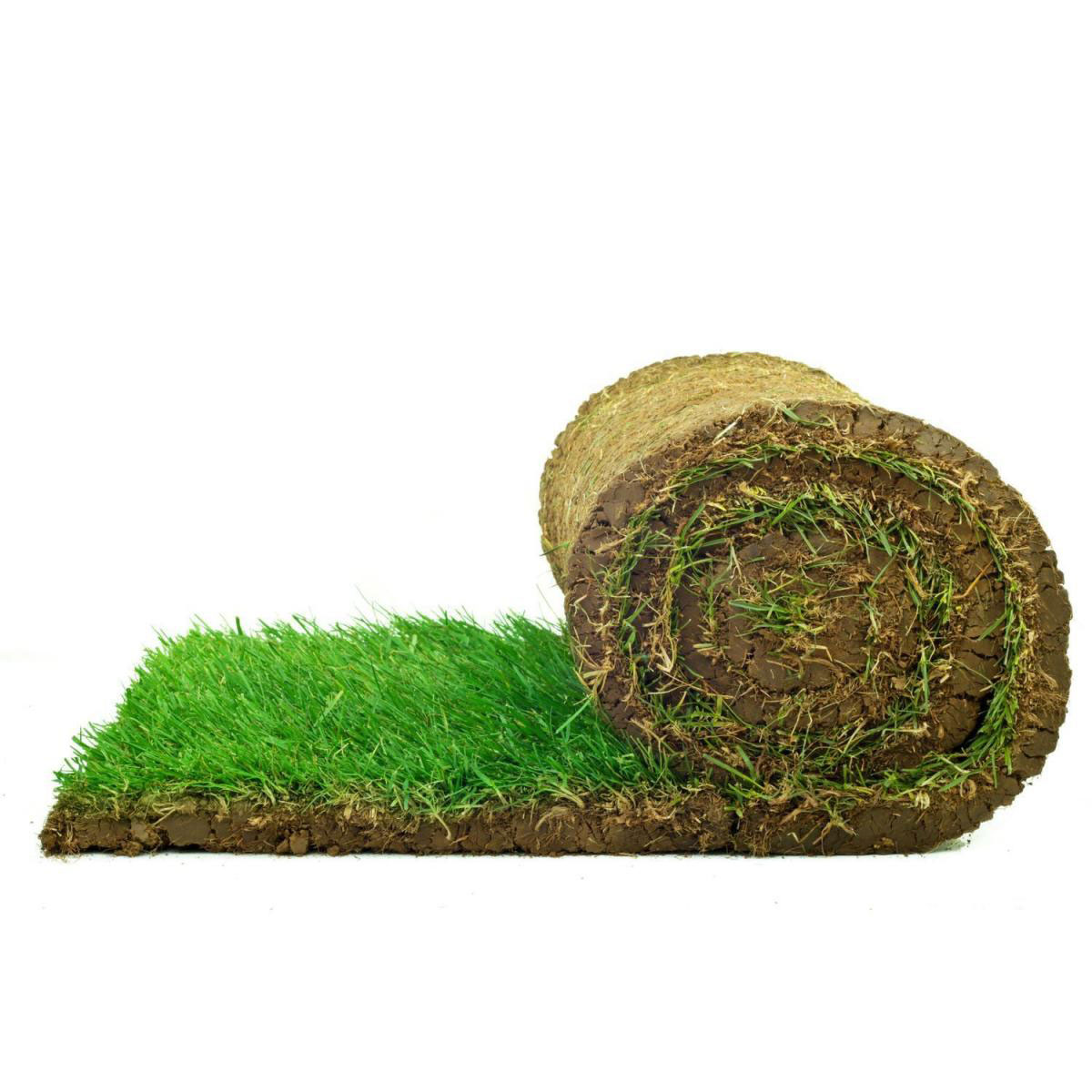 Plantiflor Rollrasen Premium-Qualität Bild 1