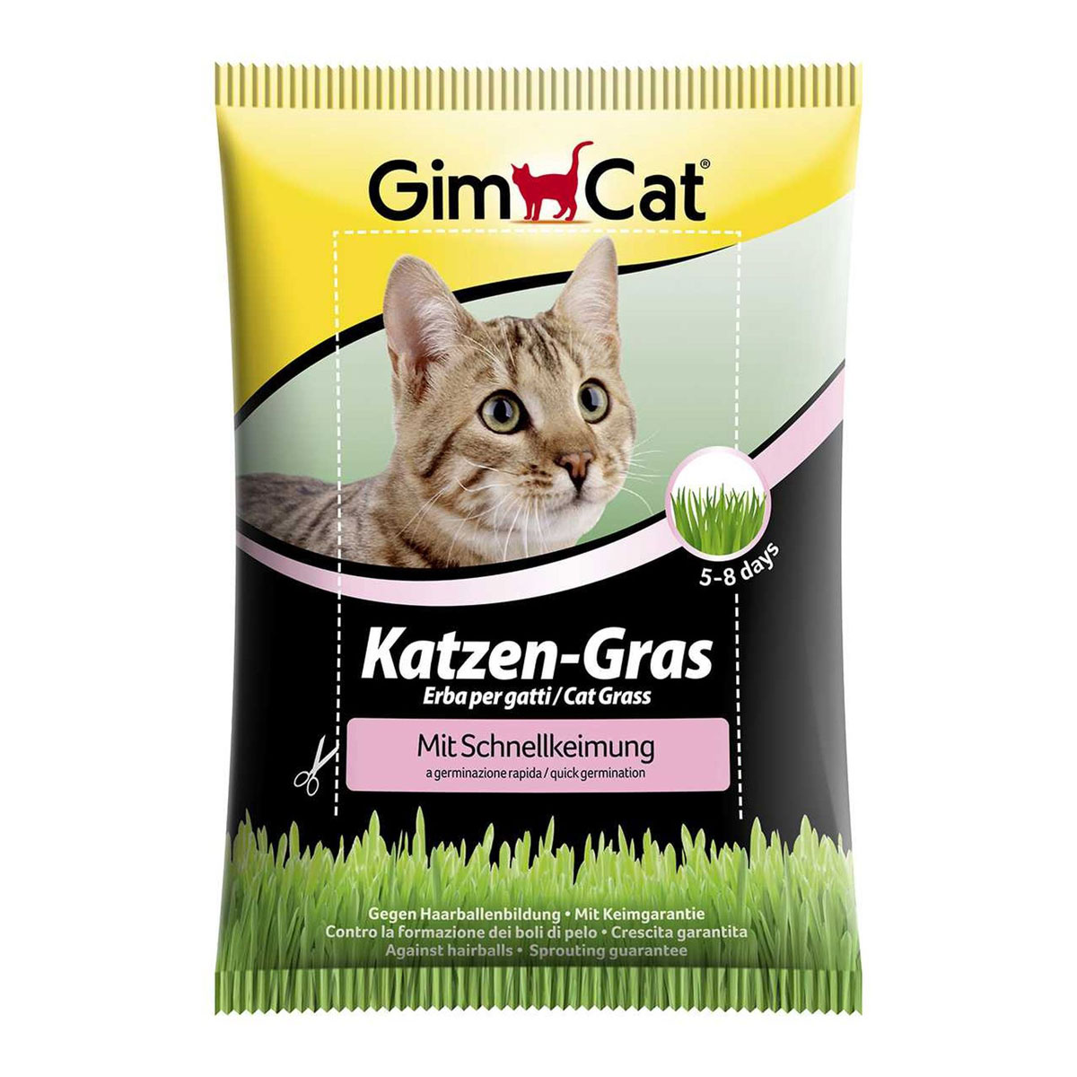 GIMBORN Spezialitäten Gimpet Katzengras Schnellkeimbeutel 100g