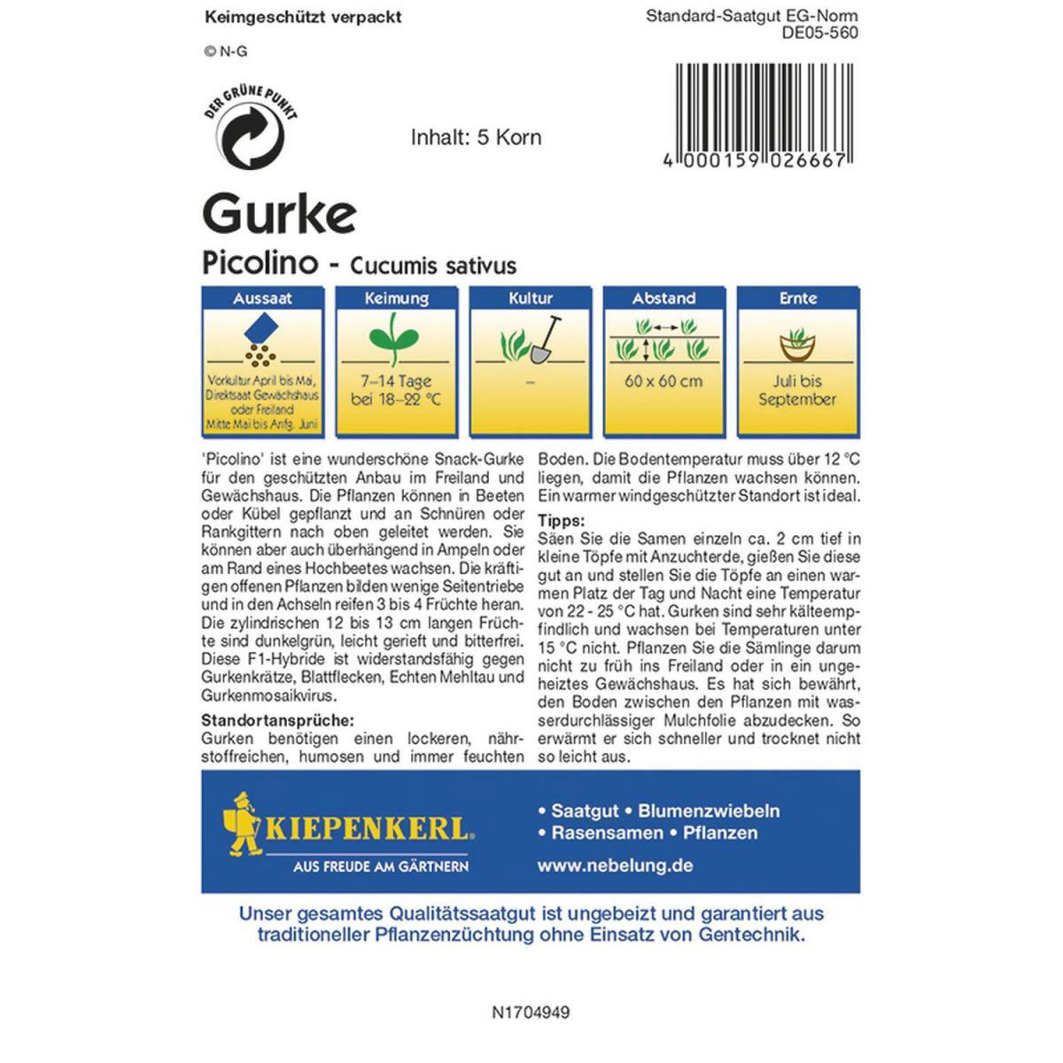 Kiepenkerl Mini-Snack-Salatgurke Picolino F1 Bild 2