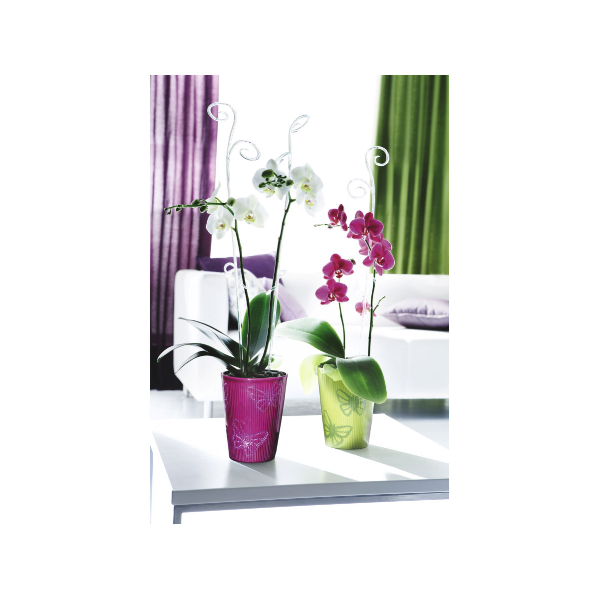 Scheurich Orchideenstab Bild 2