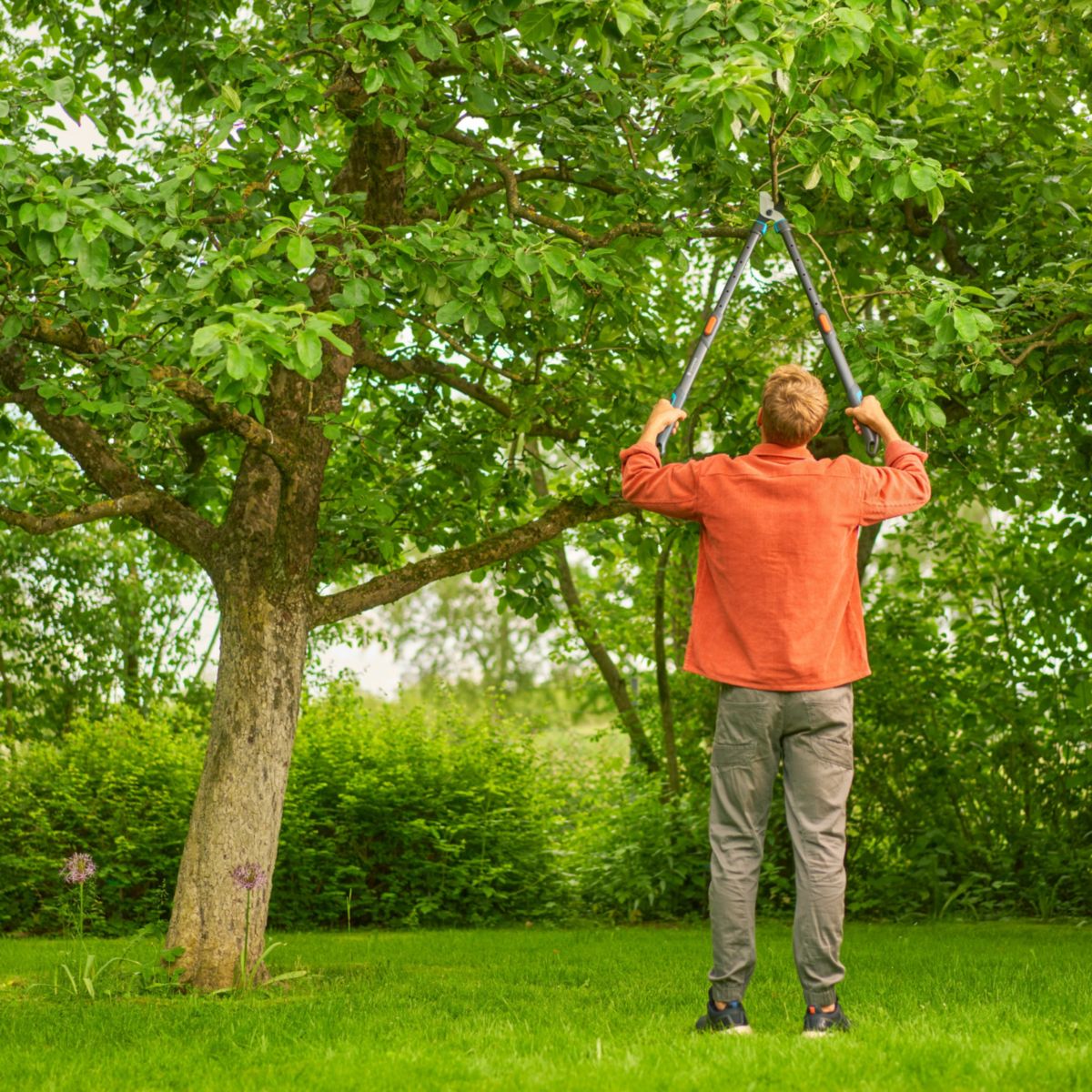 Gardena Astschere TeleCut Pro L teleskopierbar Bild 6