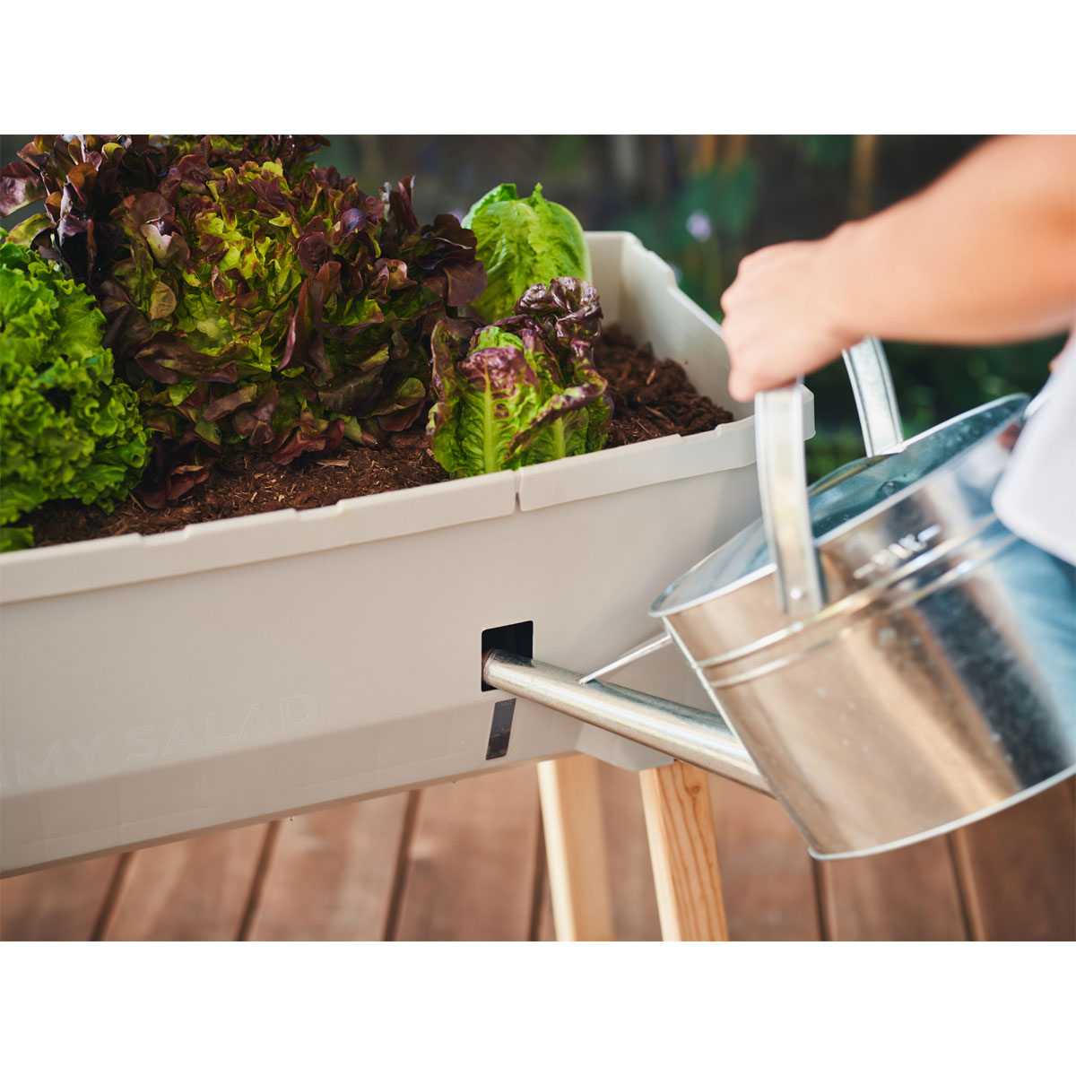Hochbeet Sammy Salad mit Deckel hellgrau Bild 4