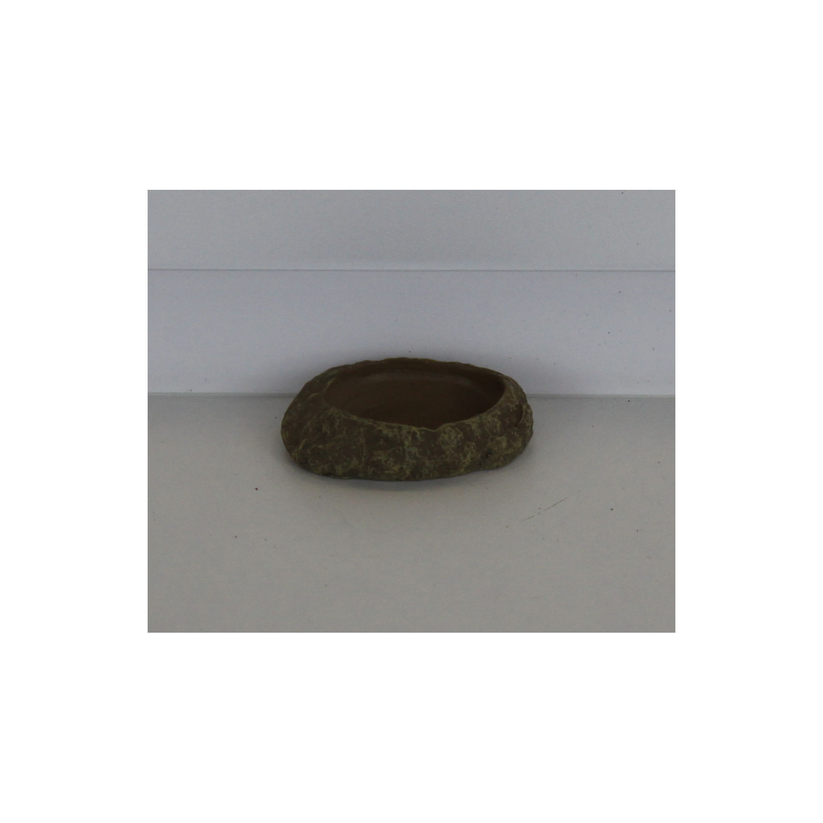 Reptiles-Planet Futternapf XS Bild 2