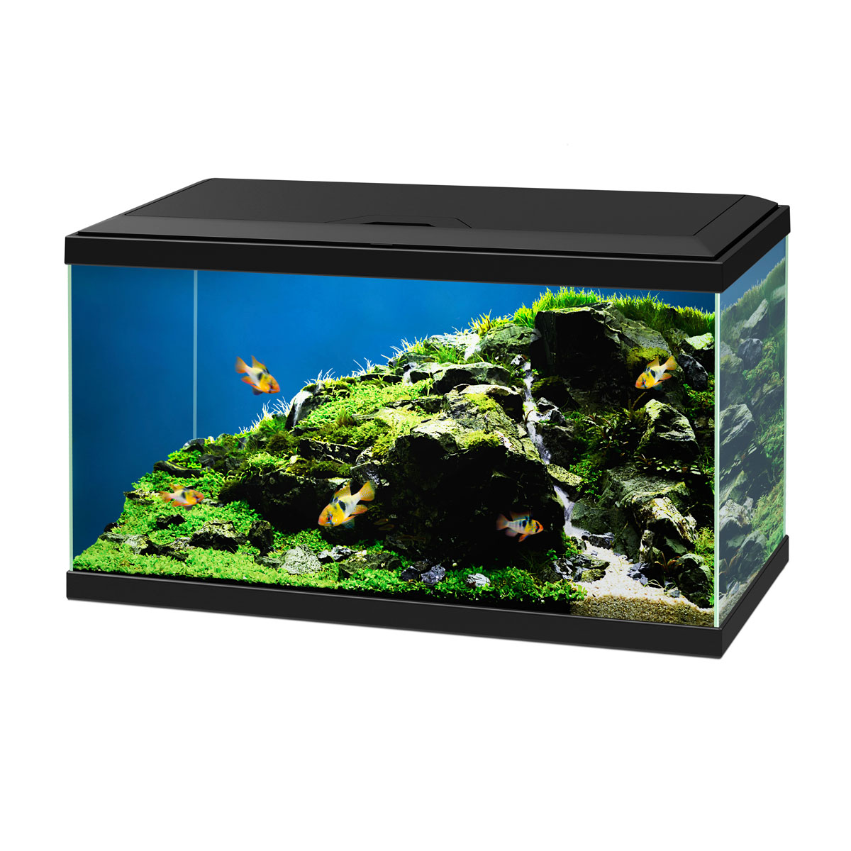 Aquarium Aqua 60 LED 58 L schwarz 60 x 30 x 33,5 cm