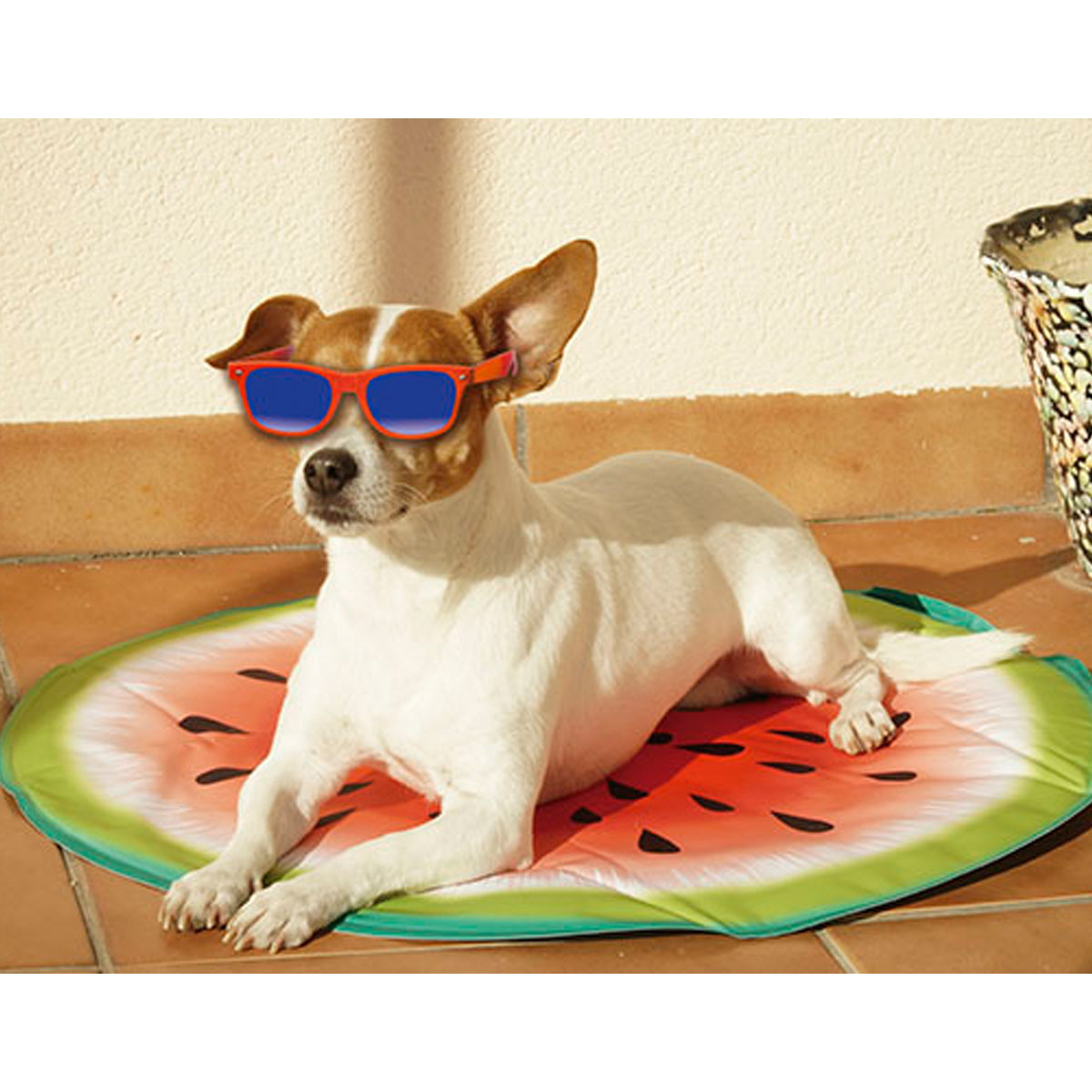 Starlyf Kühlmatte Pet Cooling Mat für Hunde Bild 3