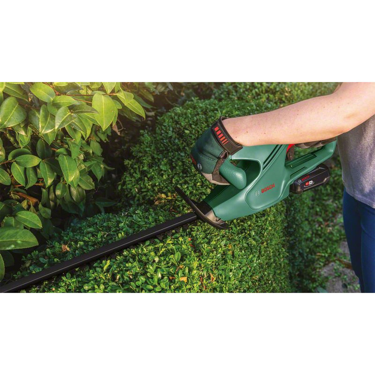 Bosch   Akku-Heckenschere EasyHedgeCut 18-45 ohne Akku Bild 2