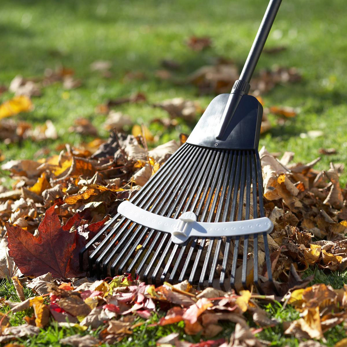 Meister Laubbesen XXL mit Teleskop-Stiel Bild 2