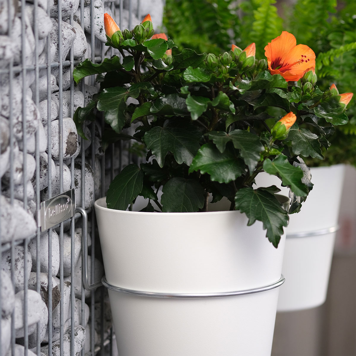 Wandgarten Fermo Einhänger Set 3 Stück Bild 3