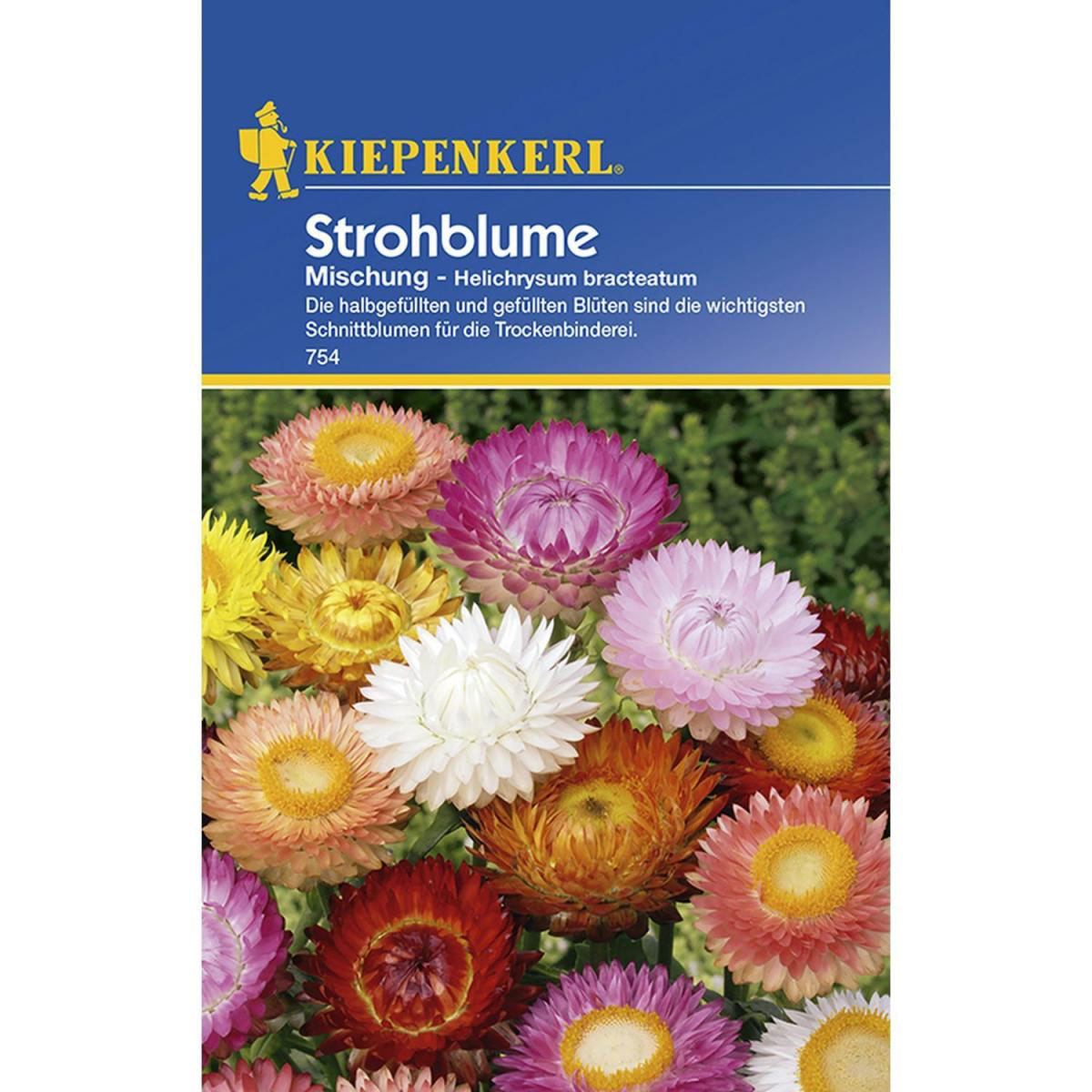 Sperli Strohblumen-Samen 'Koloss Mischung' – Bunte Blumen Bis 80 Cm, Perfekt Für Beet & Trockensträuße