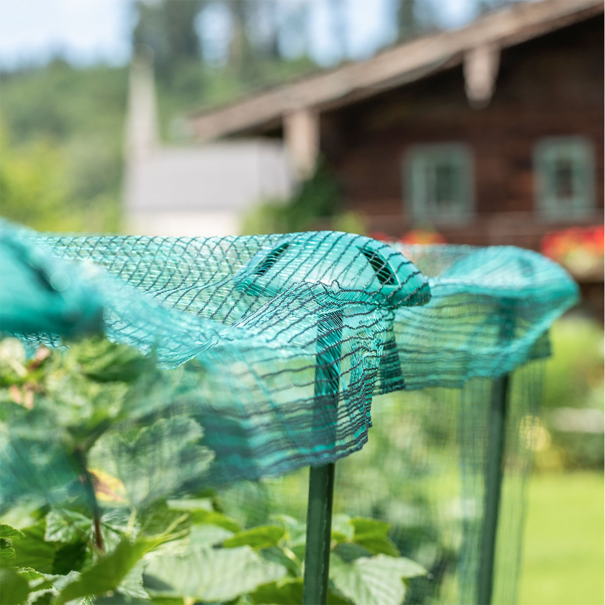 Windhager  Pflanzstab-Netzhalter Durchmesser 12 cm 5 Stück