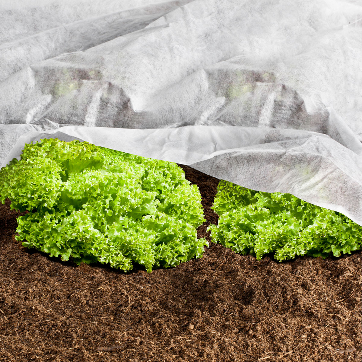 Windhager  Wachstumsvlies 18 g/m² 5x1,5 m Bild 2