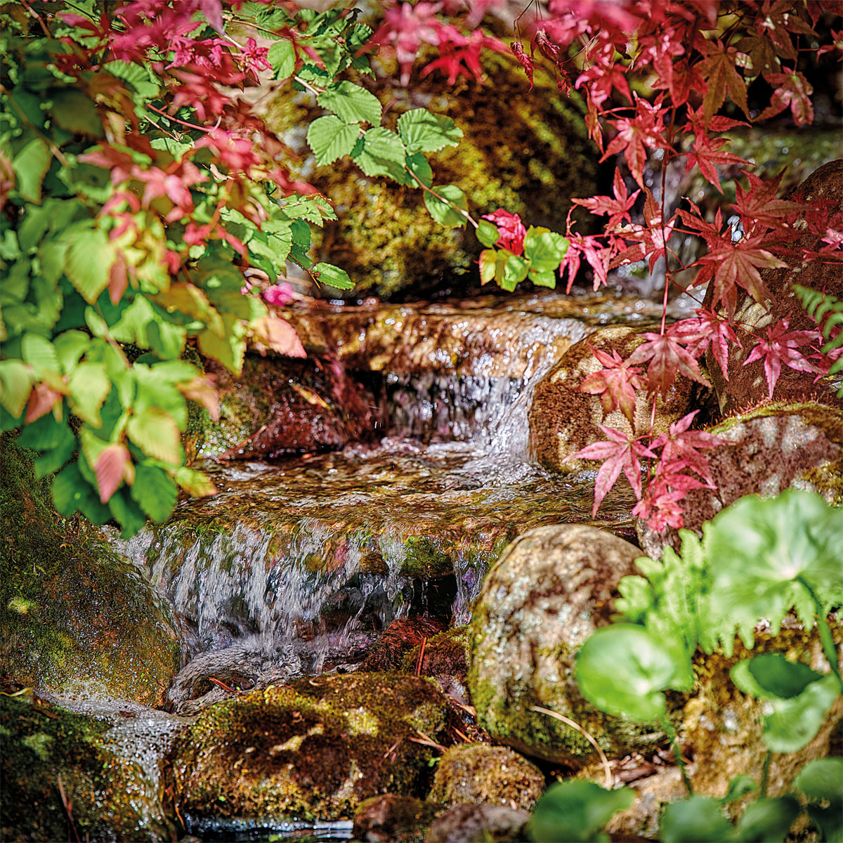 Oase Pontec PondoMax Eco 8500 C Bild 1