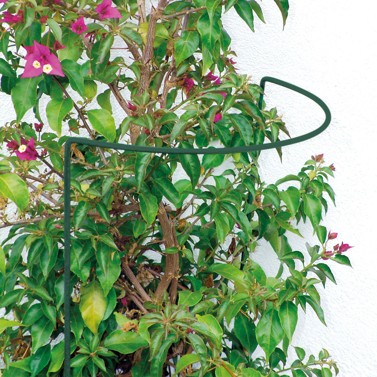 Staudenstütze 40 x 35 cm Bild 1