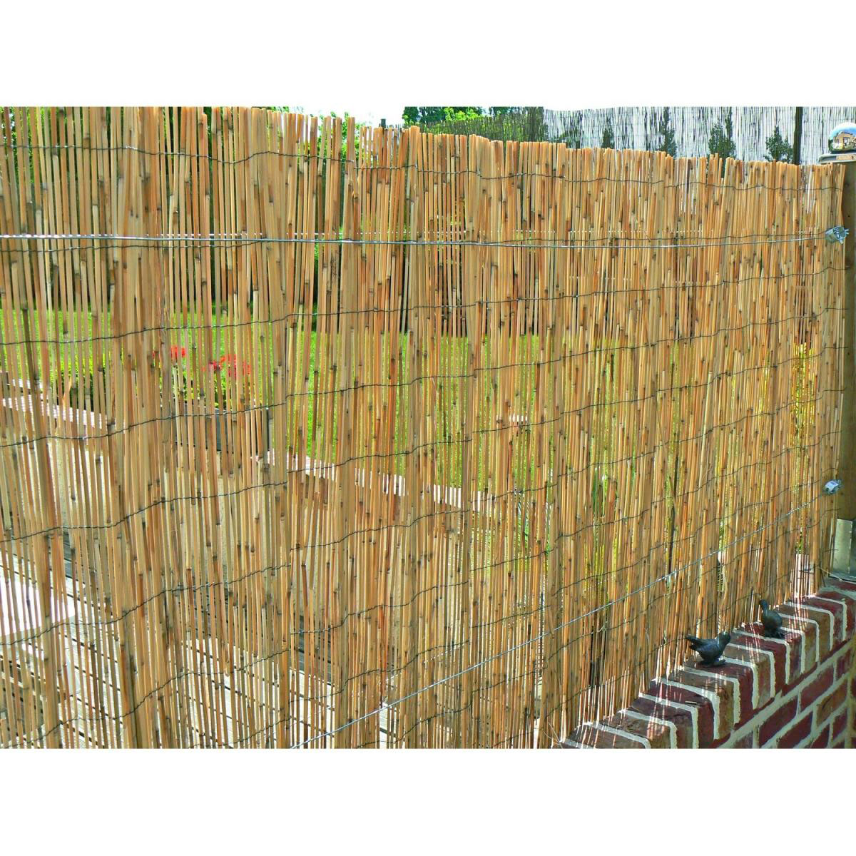 Hartmann  Schilfrohrmatte Malaga 140 x 600 cm