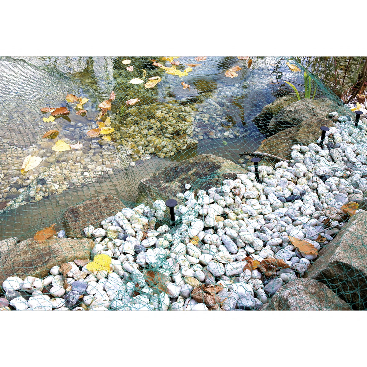 Plantiflor Laubschutznetz 6 x 10 m Bild 3