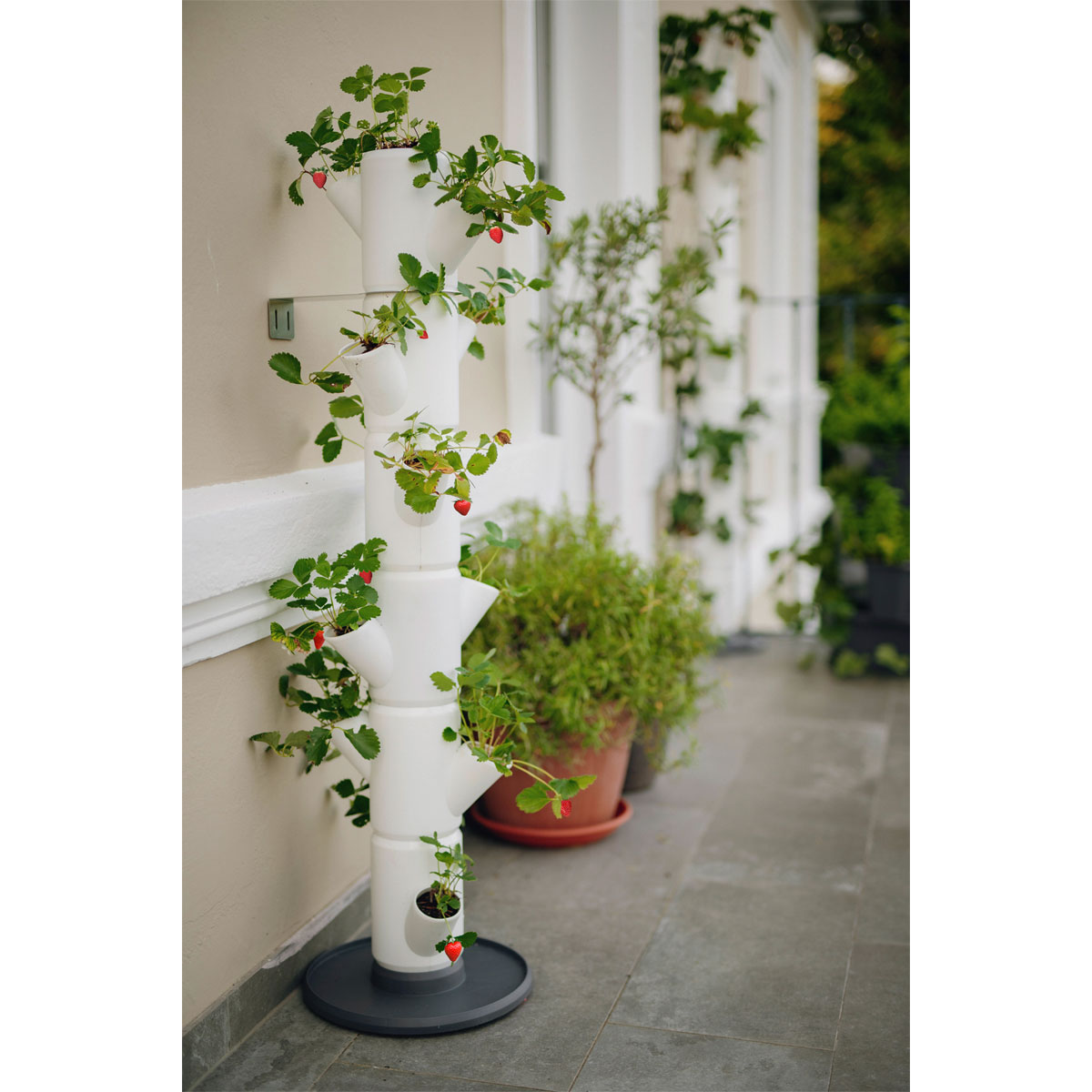 Erdbeerturm Sissi Strawberry Classic weiß Bild 1