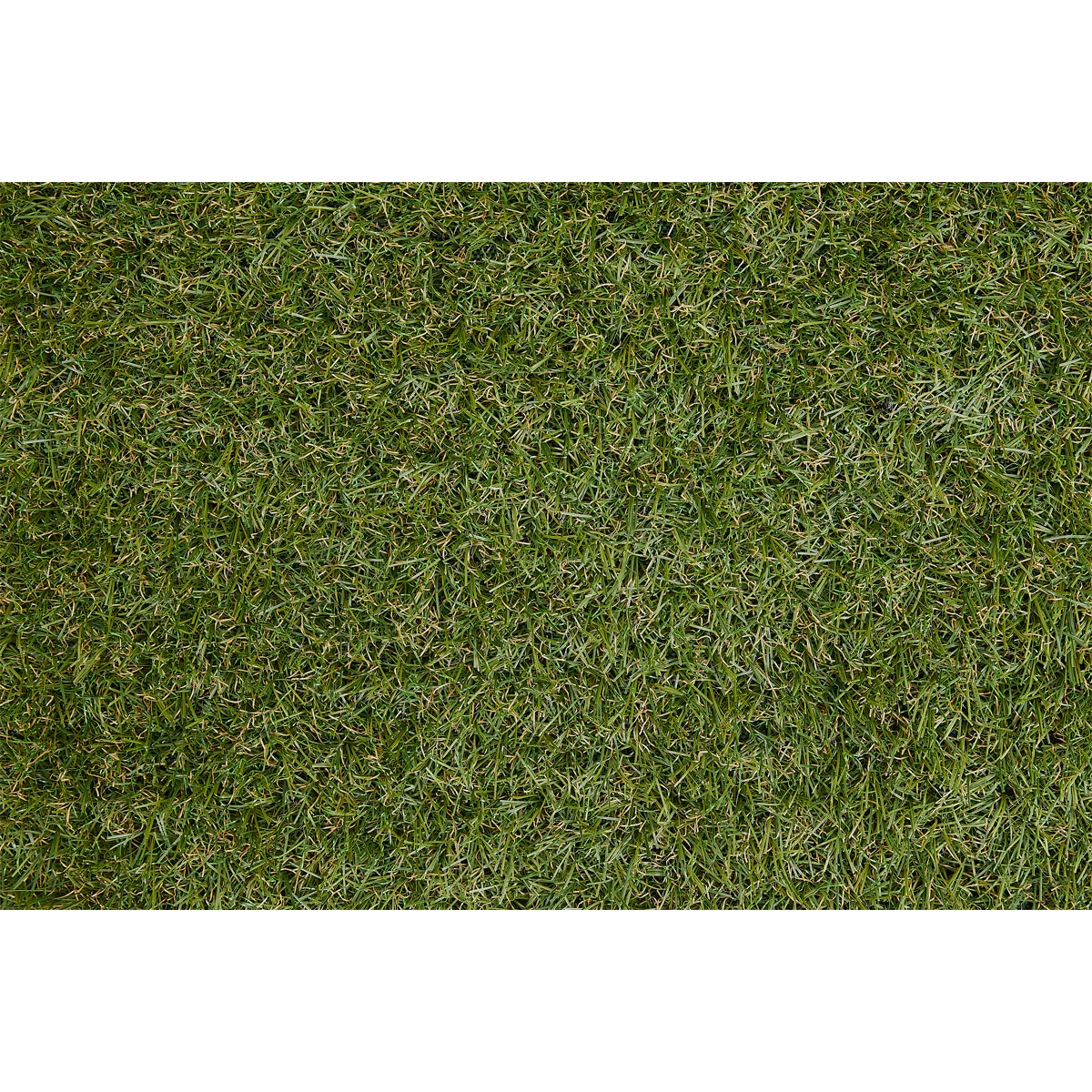 Kunstrasen Chill 300 x 200 cm Bild 1