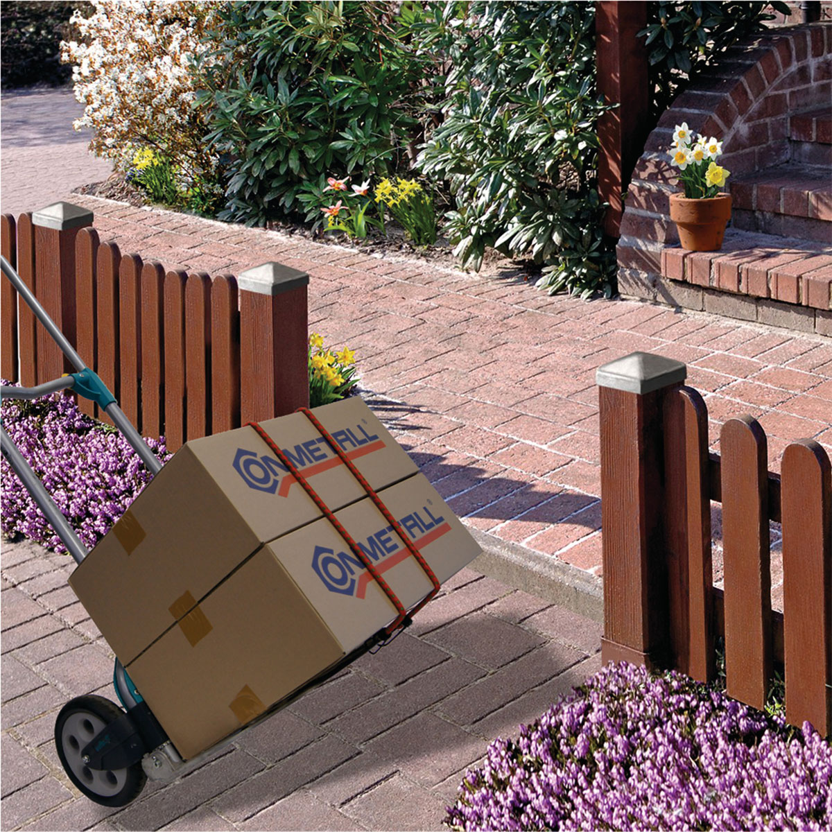 Connex Gepäckspanner 8 x 75 cm orange Bild 2