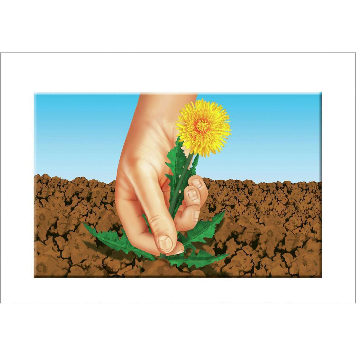 Compo Rasensaat Spiel und Sport Aktion 4 kg Bild 2