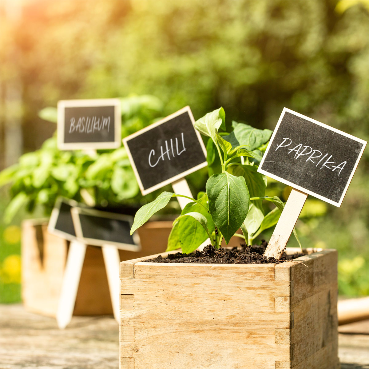 Windhager Stecketiketten Kreidetafel-Form 10 Stück Bild 2