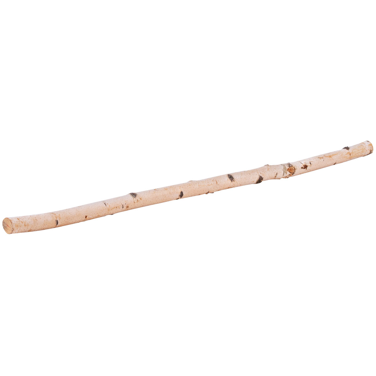 Birkenstamm 90 cm Durchmesser 2-4 cm