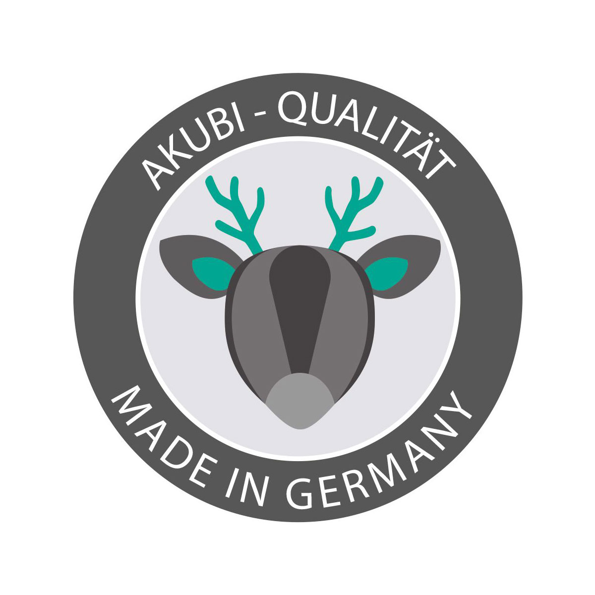 Karibu Doppelschaukel Felix mit Klettergerüst und Rutsche Bild 7