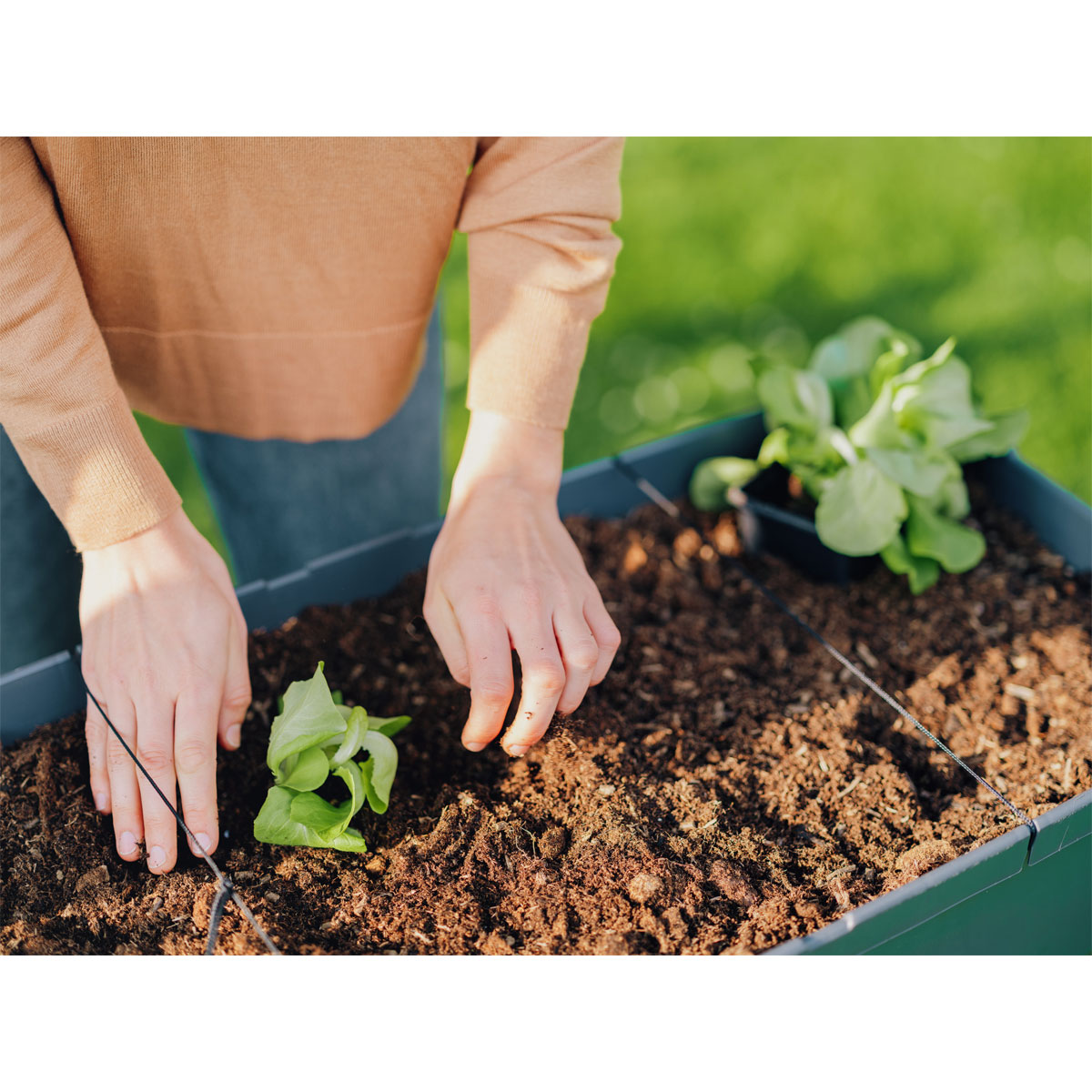 Hochbeet Sammy Salad mit Deckel anthrazit Bild 2