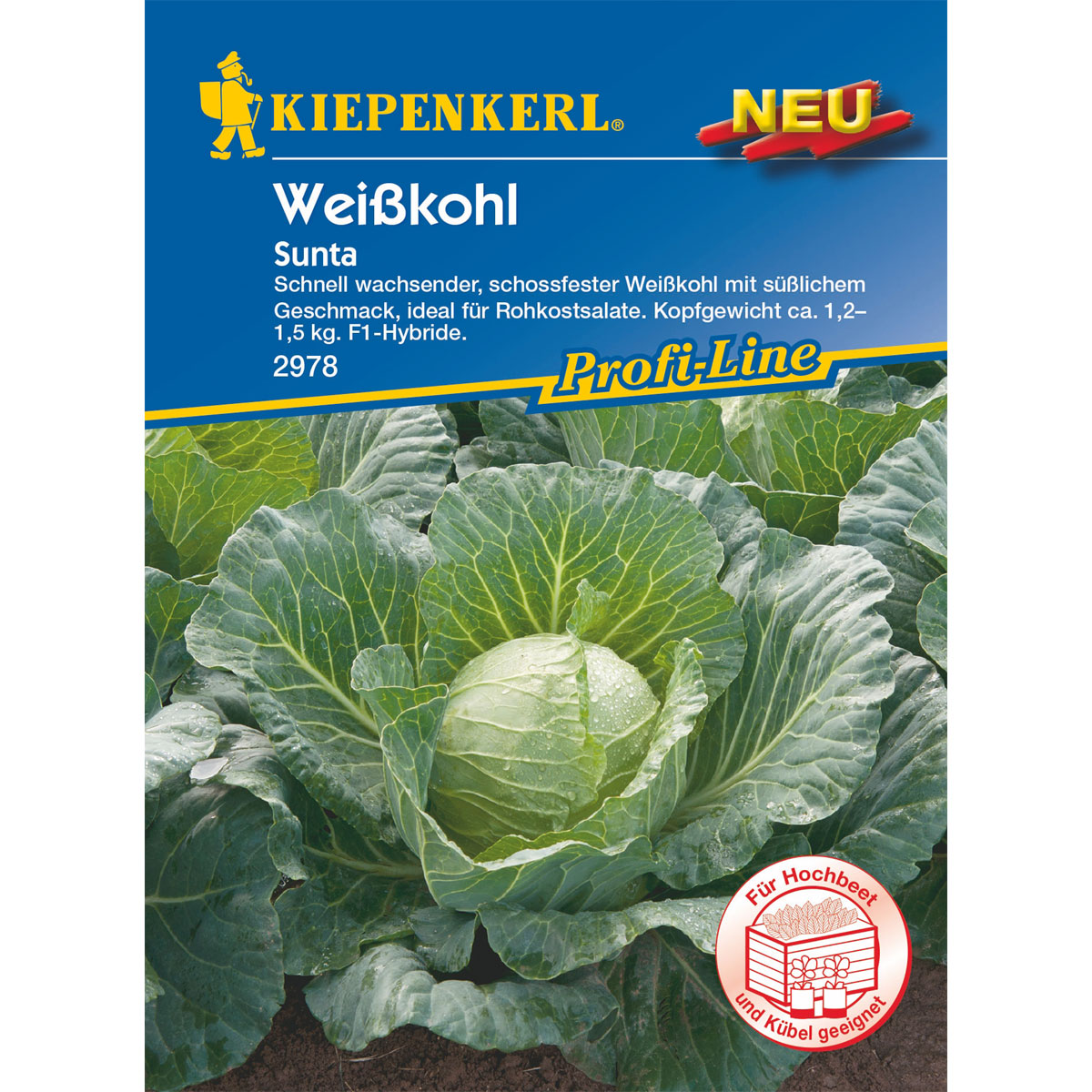 Kiepenkerl Weißkohl Sunta
