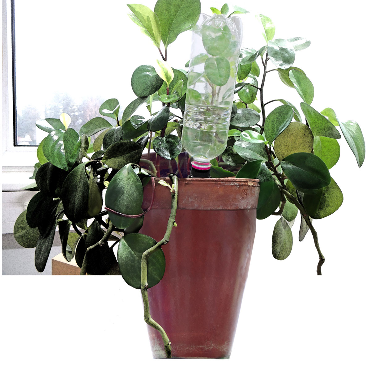 Windhager  automatischer Wasserspender Flaschen 3 Stück Bild 3